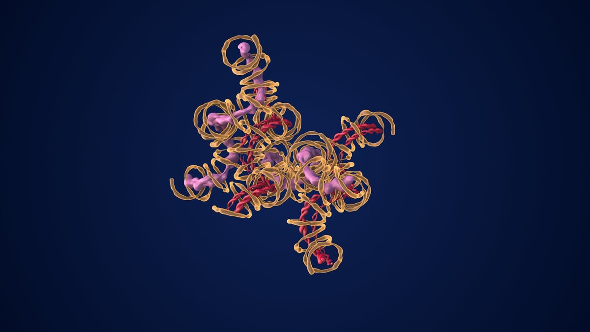 A dynamic visualization of protein folding, driven by intricate polypeptide chains, showcasing the complexity of molecular interactions at the cellular level