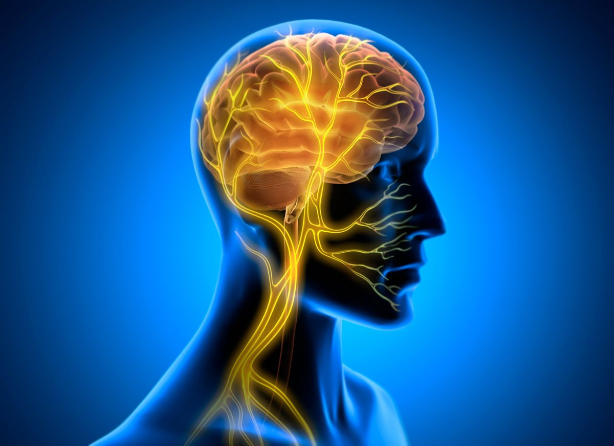 3D X-ray style illustration of Vagus Nerve Stimulation showing glowing nerve fibers representing the autonomic nervous system