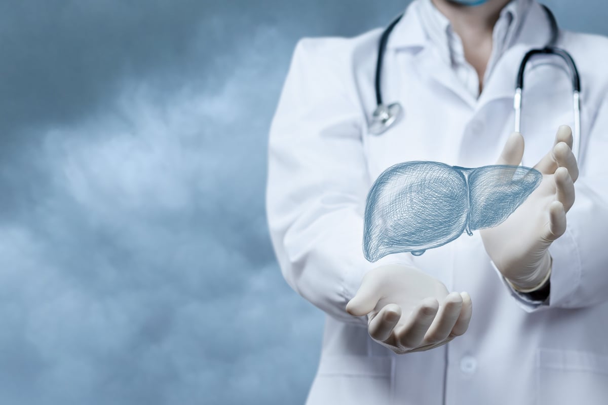 A doctor presents a transparent liver illustration in a clinical setting.