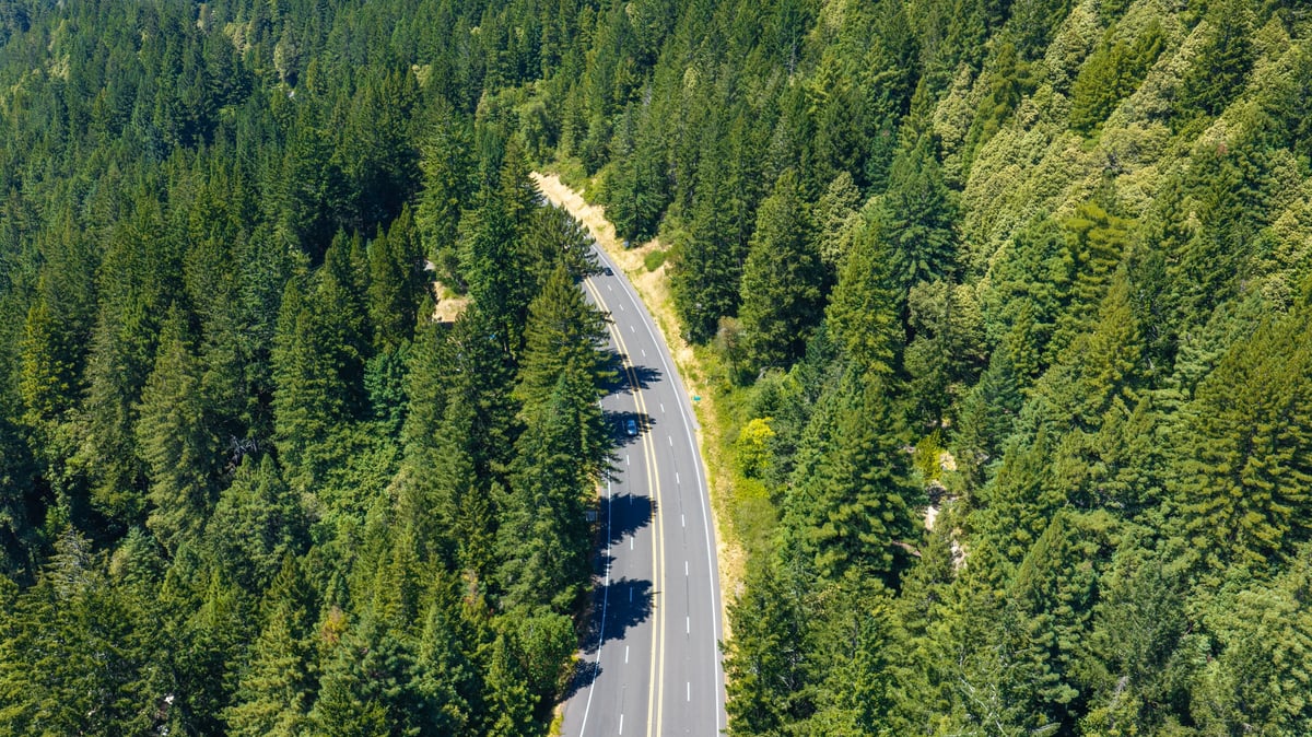 Aerial view of a winding two-lane highway through a dense, unbroken canopy of pine and fir trees in northern Ontario, a single vehicle traveling the remote forested road